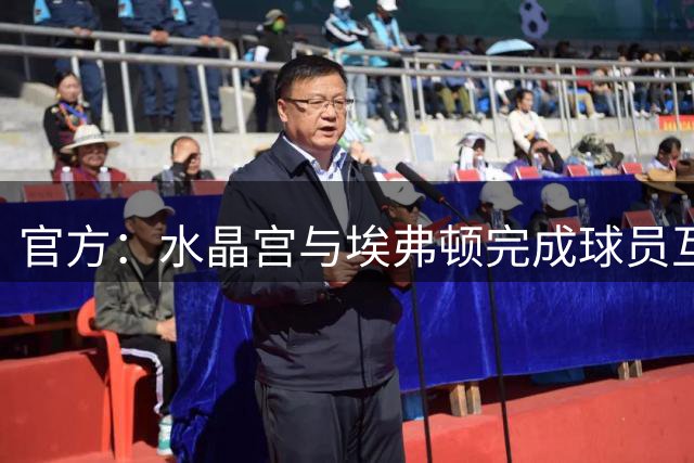 官方：水晶宫与埃弗顿完成球员互换交易，签下麦克尼尔